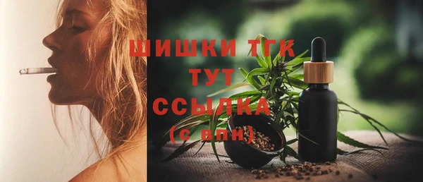 spice Рославль