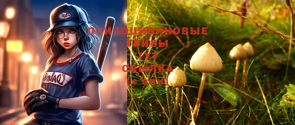 кокс Ростов
