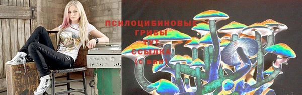 кокс Ростов