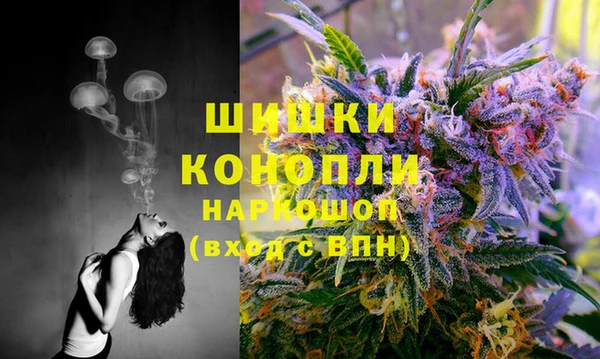 кокс Ростов